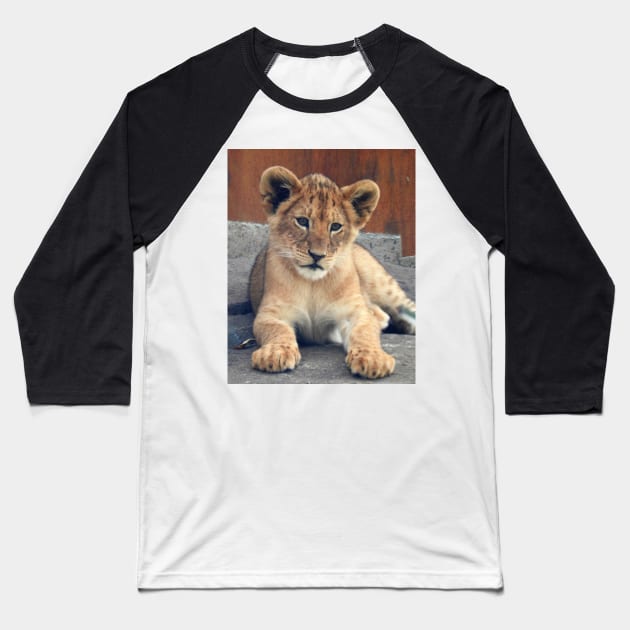 Lion Cub Baseball T-Shirt by kirstybush